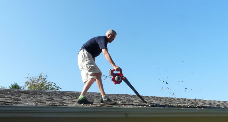 Roof Cleaning Service