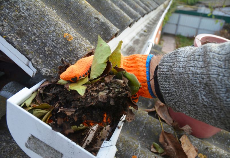 Roof Leaf Removal Promotions