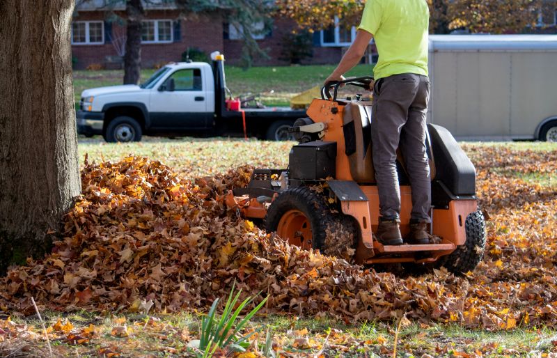 Roof Leaf Removal