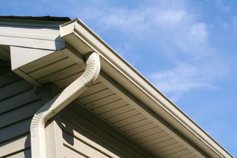 Cost of Roof Leaf Removal — Cost of Roof Leaf Removal