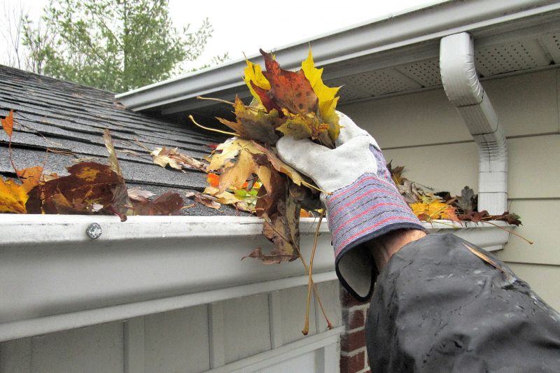 Cost of Roof Leaf Removal — Cost of Roof Leaf Removal