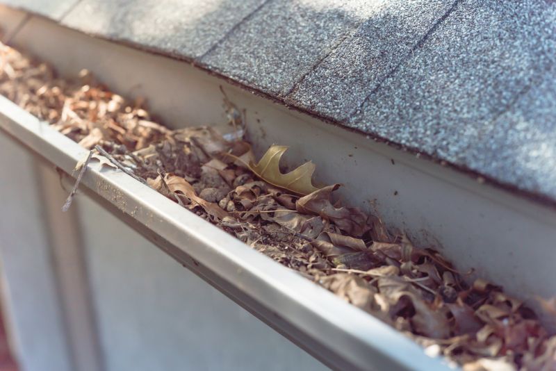 Clogged Gutter Blockages