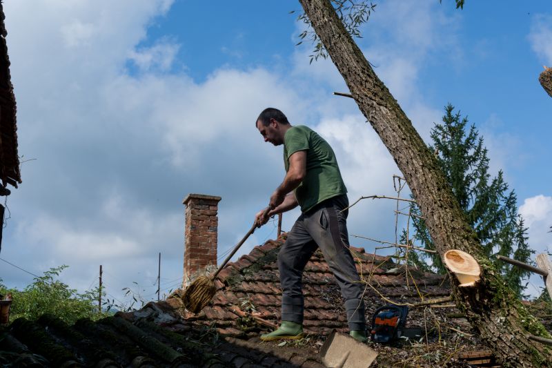 Roof Leaf Removal
