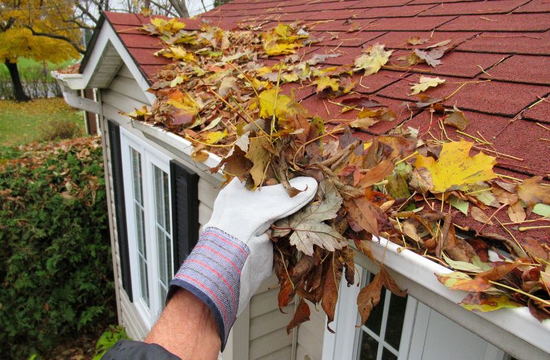 During Roof Leaf Removal