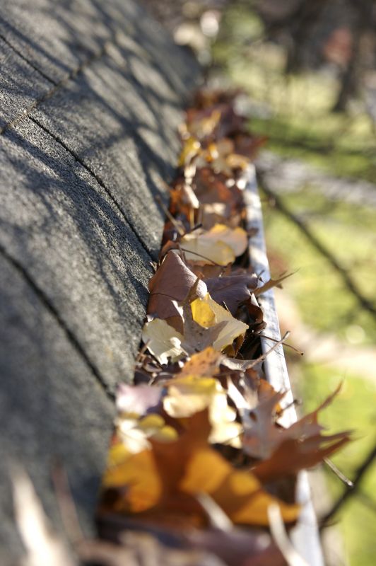 Leaf Accumulation on Roofs